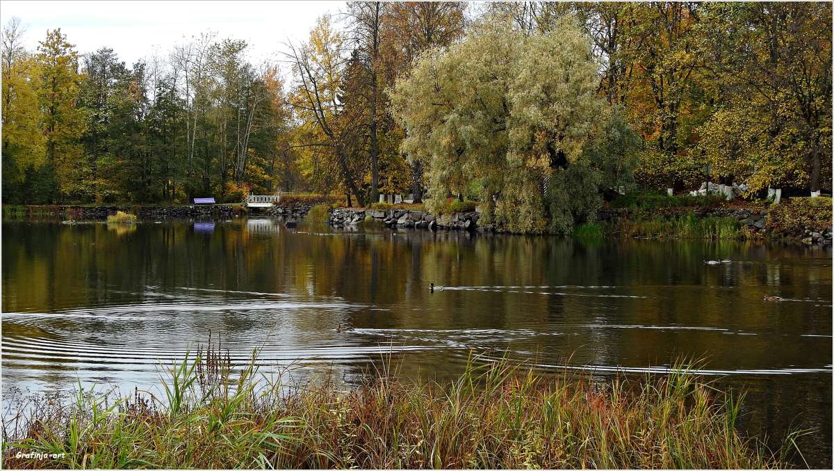 ���������� ��������... ����� ������ ��� �� PhotoGeek.ru #������ ��� �������