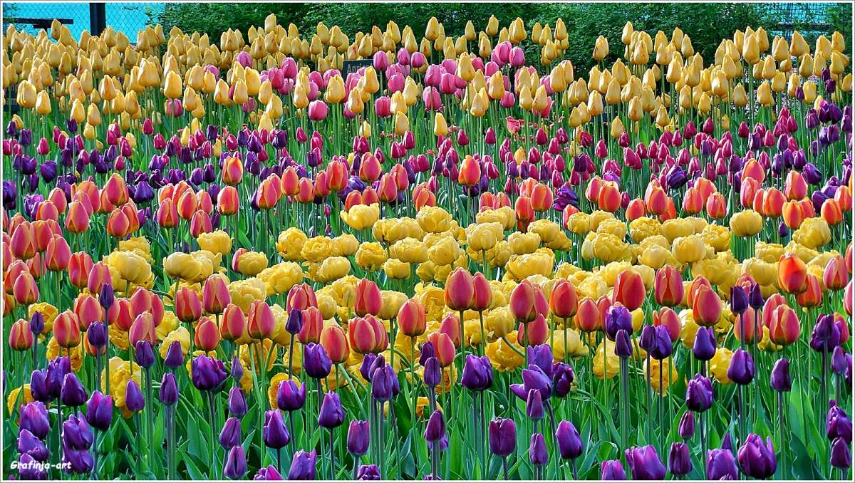 ������ ������... ����� ������ ��� �� PhotoGeek.ru #������ ��� �������