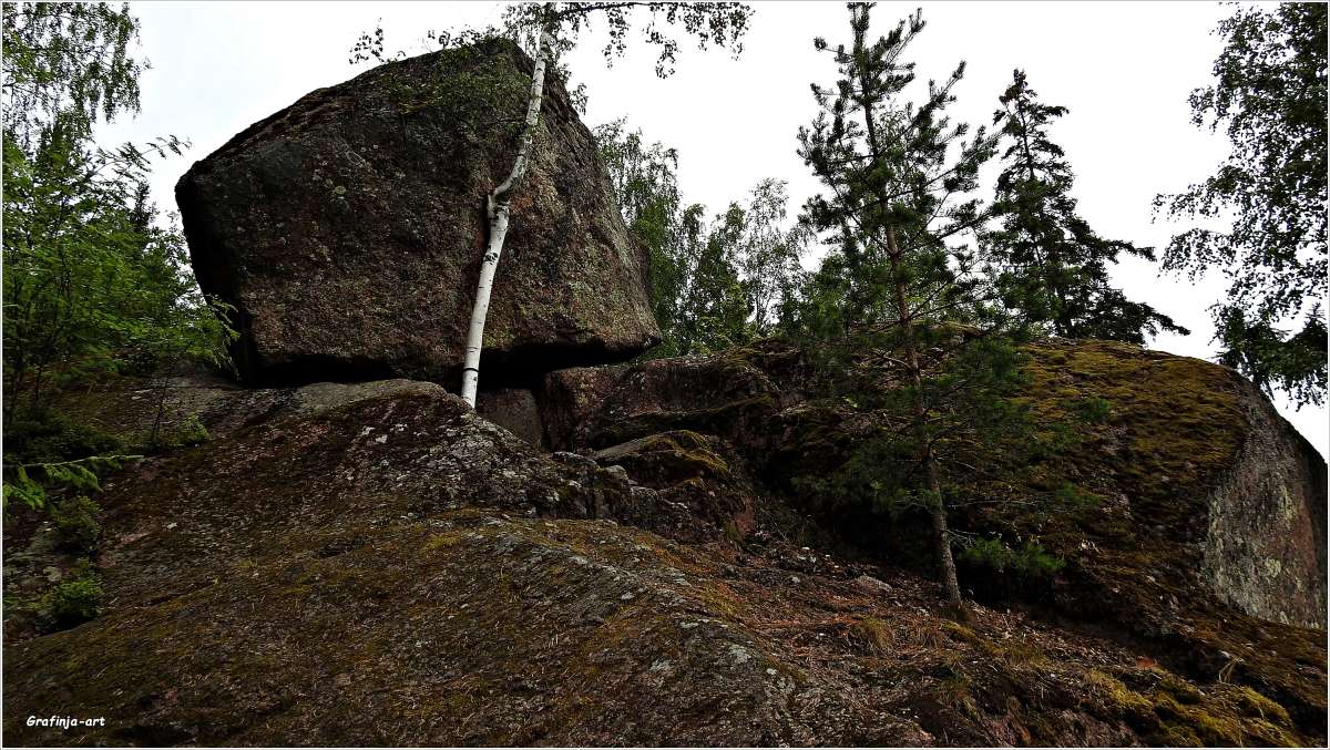 ������..."�������" ����� ������ ��� �� PhotoGeek.ru #������ ��� �������