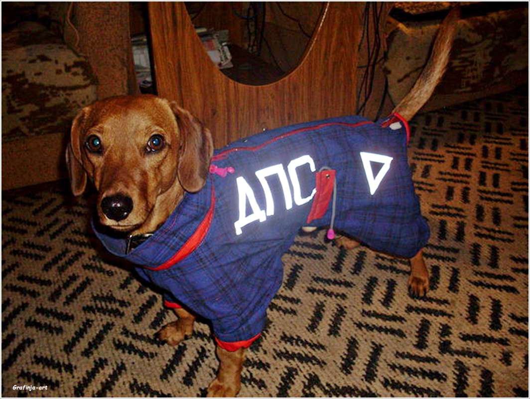 ������...���� �������... ����� ������ ��� �� PhotoGeek.ru #�������� ���