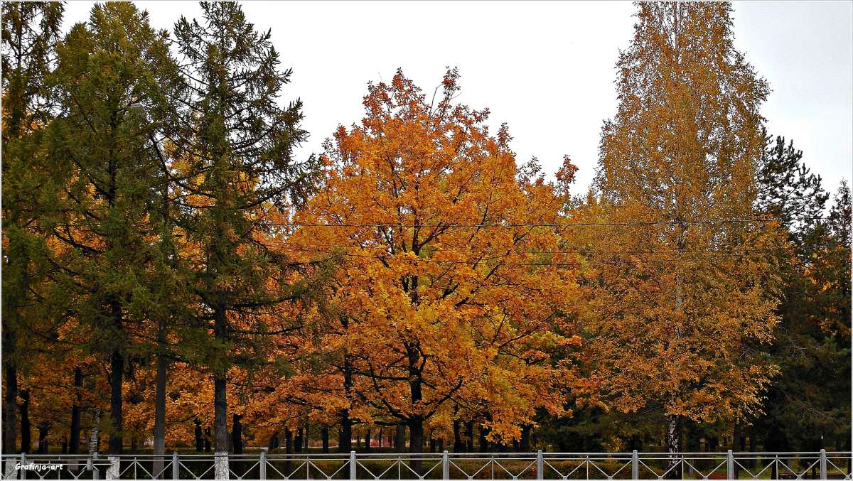 ���� � �������... ����� ������ ��� �� PhotoGeek.ru #�����