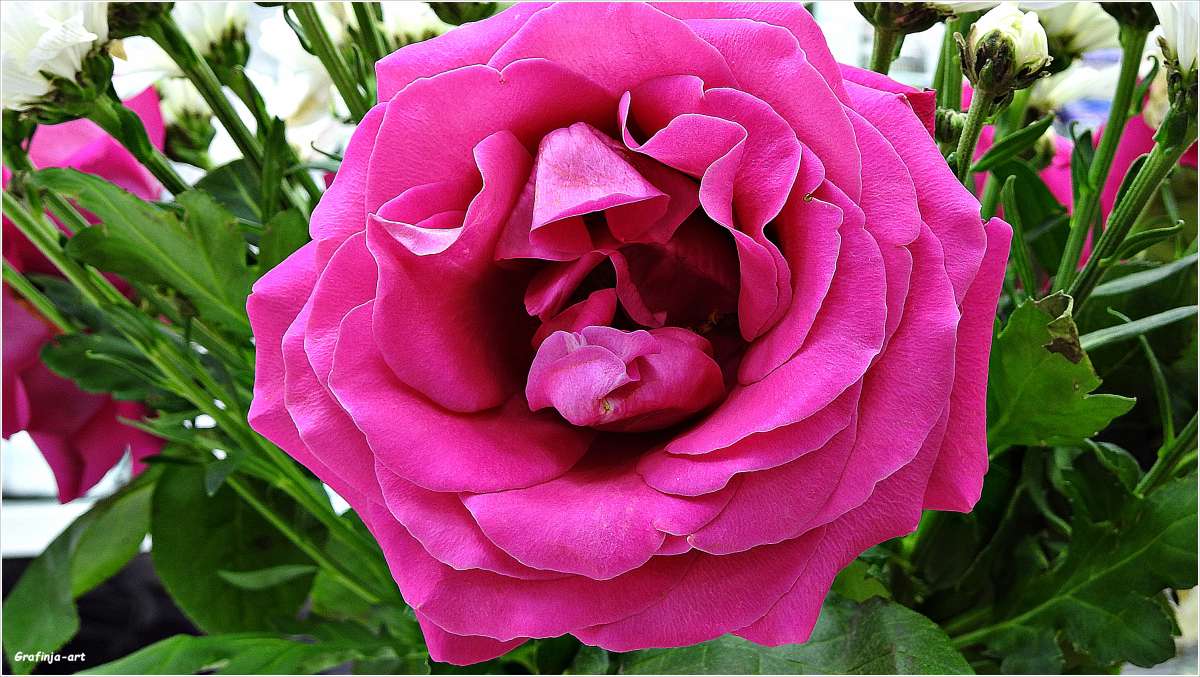 ����...��������... ����� ������ ��� �� PhotoGeek.ru #�����