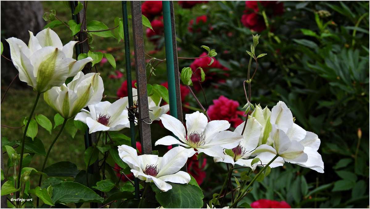 ...�������� ... ����� ������ ��� �� PhotoGeek.ru #������ ��� �������