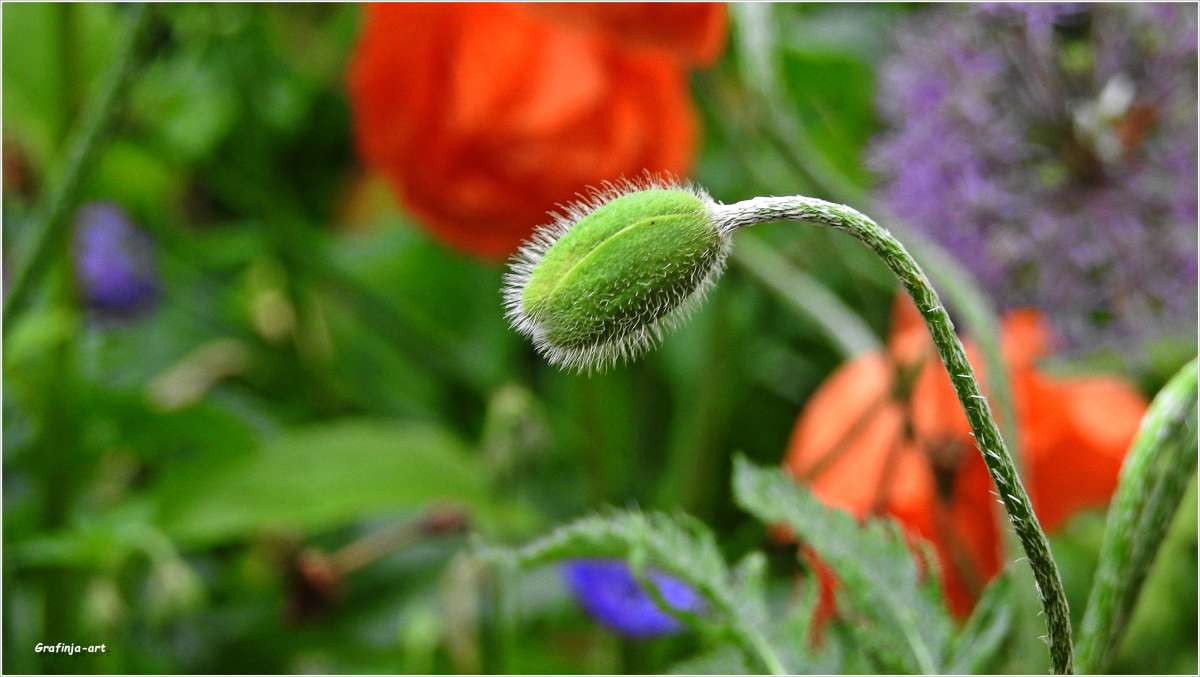 ���... ����� ������ ��� �� PhotoGeek.ru #������ ��� �������