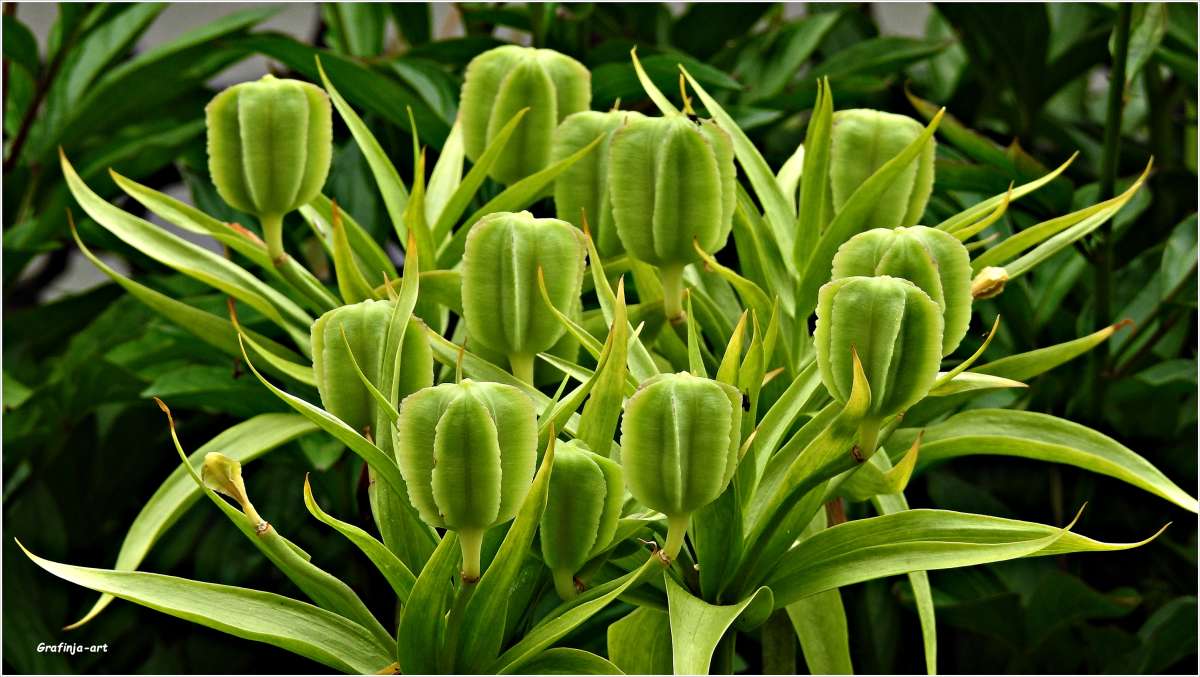 ������ � ���������� ����... ����� ������ ��� �� PhotoGeek.ru #������ ��� �������