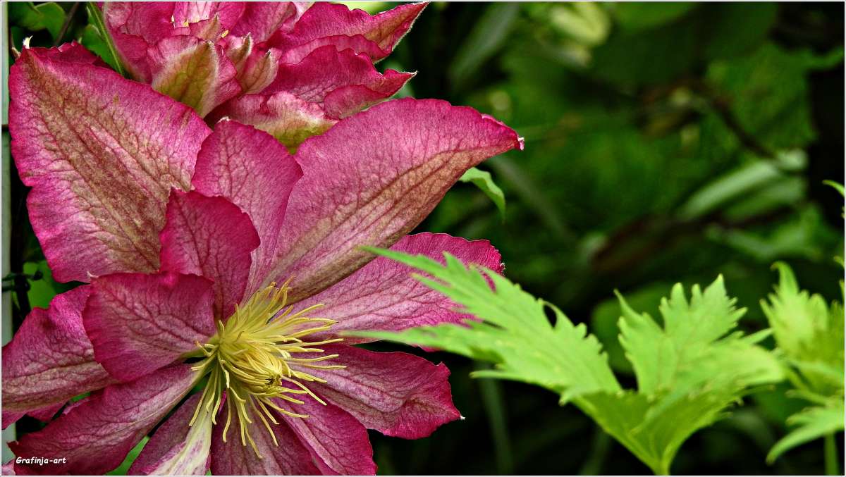 ��������... ����� ������ ��� �� PhotoGeek.ru #������ ��� �������