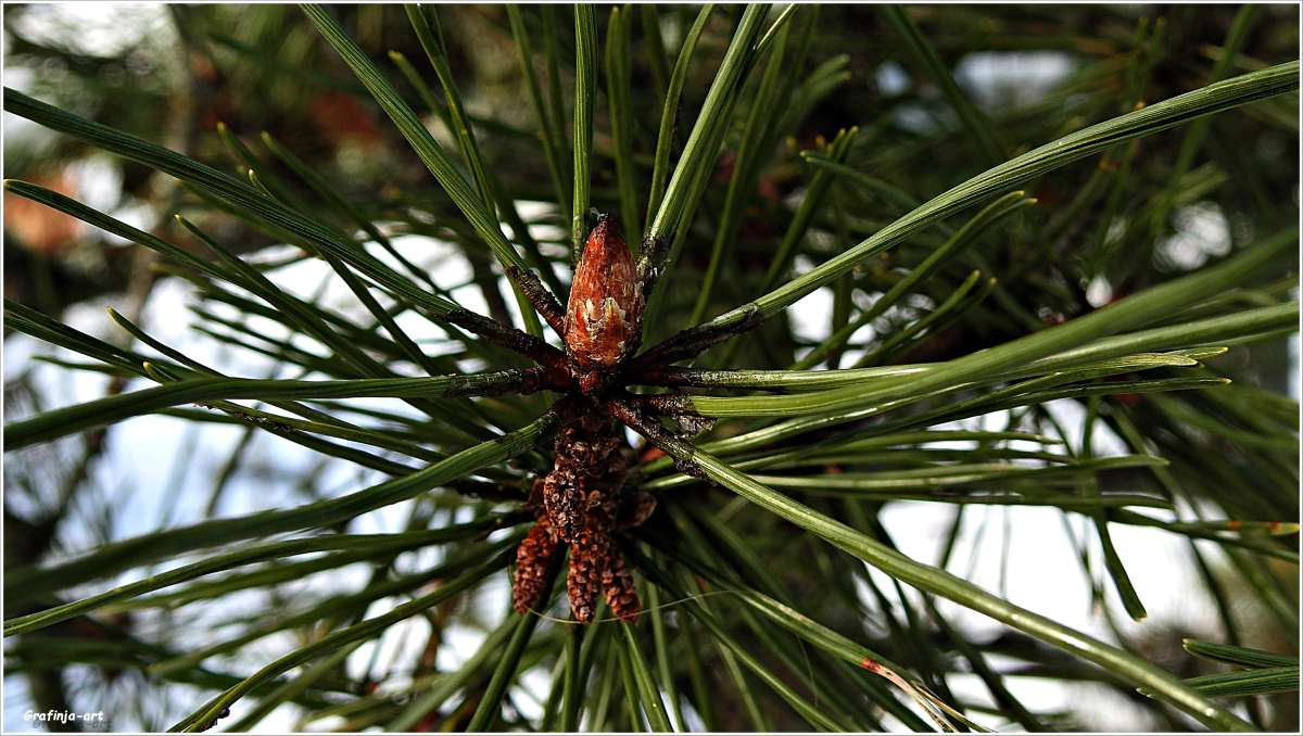 ������...������... ����� ������ ��� �� PhotoGeek.ru #������ ��� �������