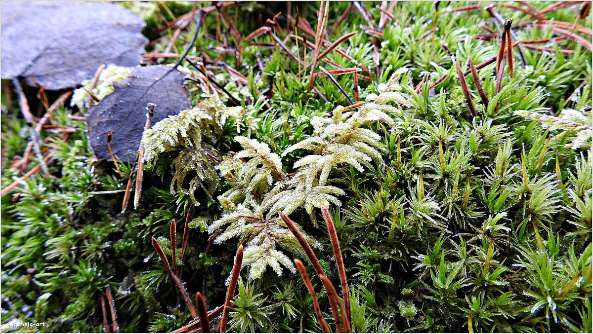 ������������� �������...������� ���������... ����� ������ ��� �� PhotoGeek.ru #������ ��� �������