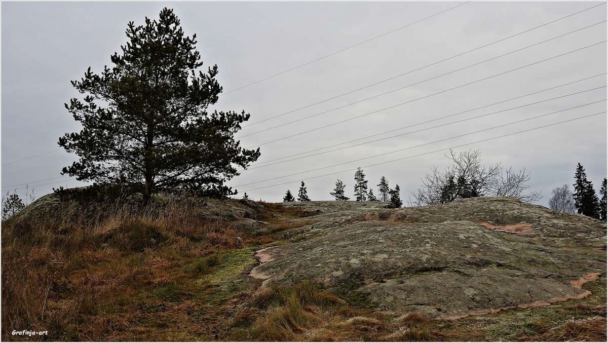 ������������� �������...������� ���������... ����� ������ ��� �� PhotoGeek.ru #������ ��� �������