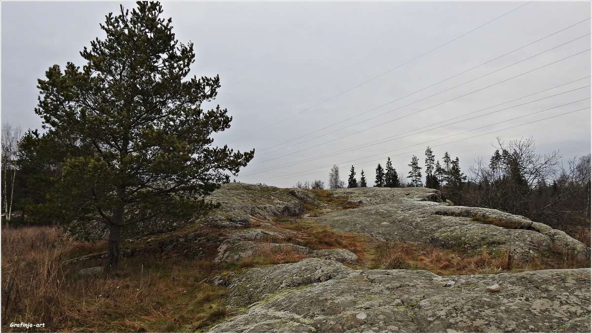 ������������� �������...������� ���������... ����� ������ ��� �� PhotoGeek.ru #������ ��� �������