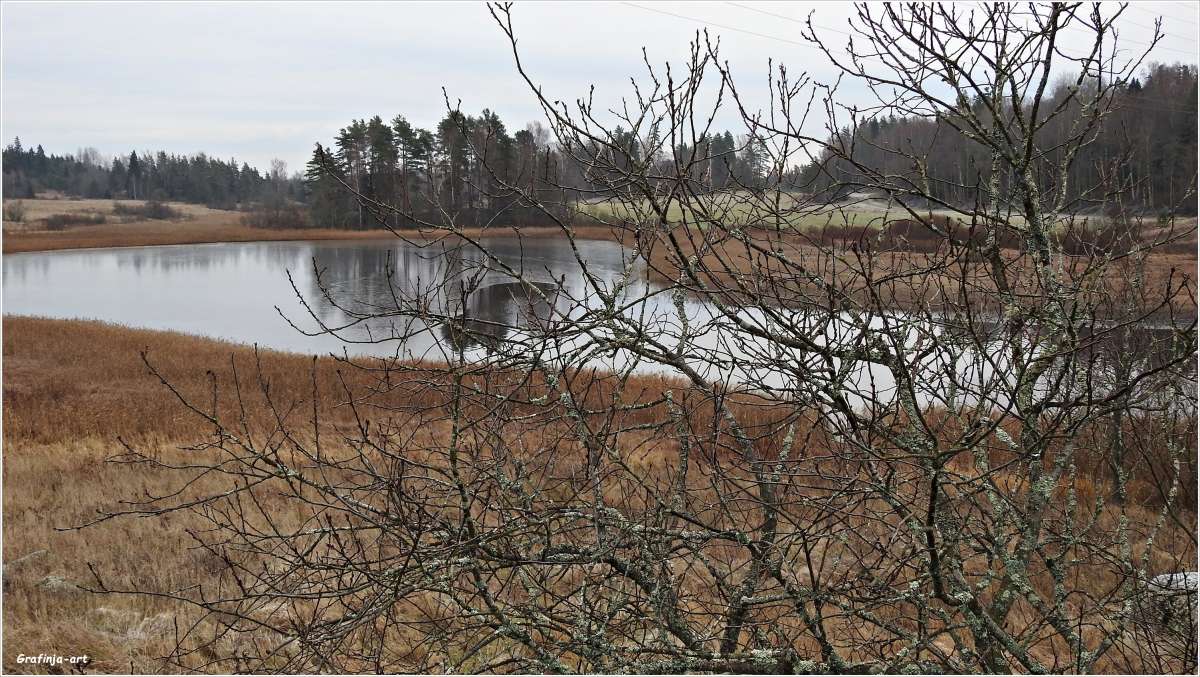 ������������� �������...������� ���������... ����� ������ ��� �� PhotoGeek.ru #������ ��� �������