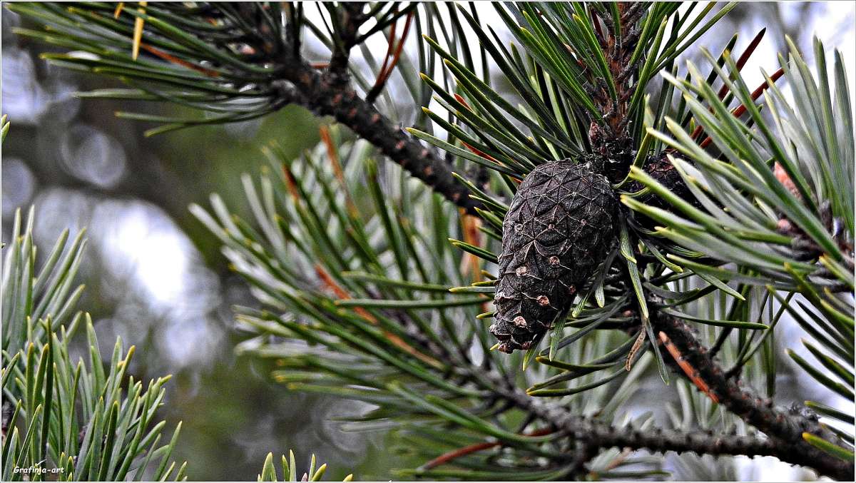 ����� �����...� �����... ����� ������ ��� �� PhotoGeek.ru #������ ��� �������