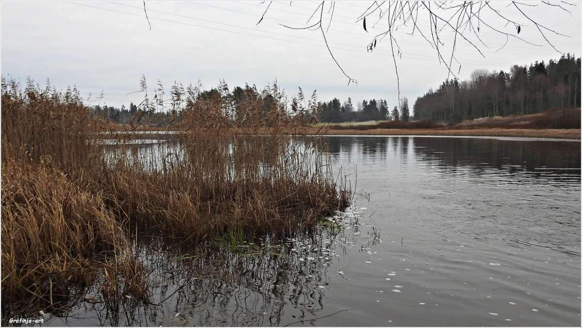 ������������� �������...������� ���������... ����� ������ ��� �� PhotoGeek.ru #������ ��� �������