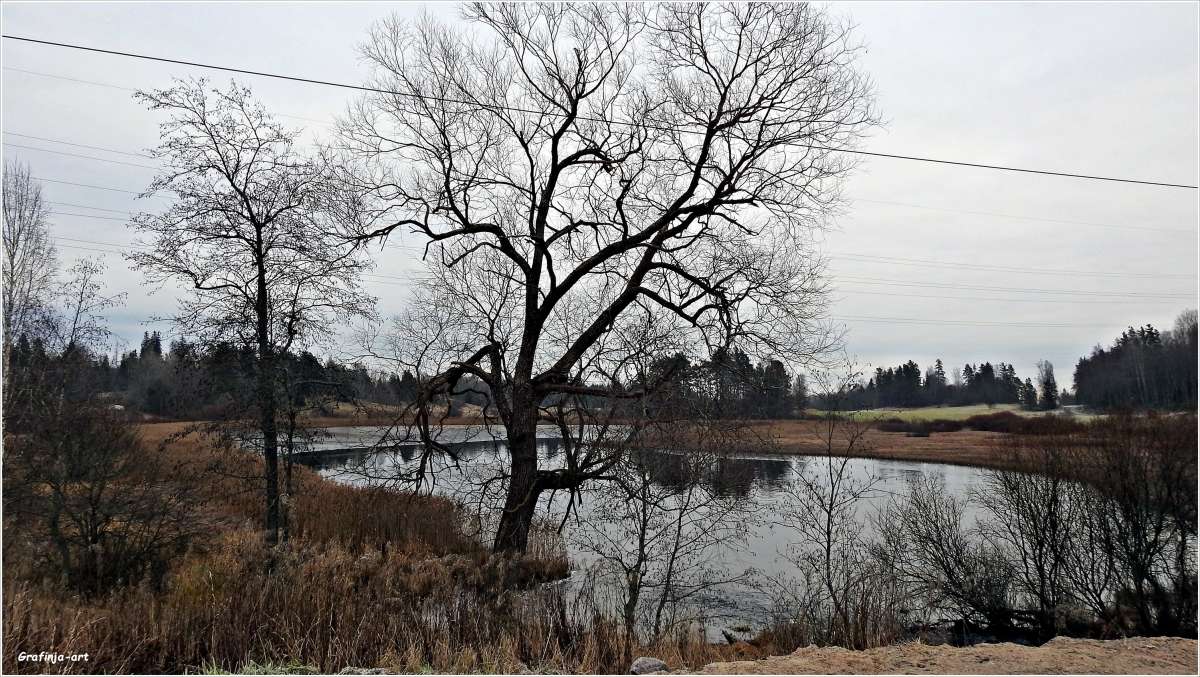 ������������� �������...������� ���������... ����� ������ ��� �� PhotoGeek.ru #������ ��� �������