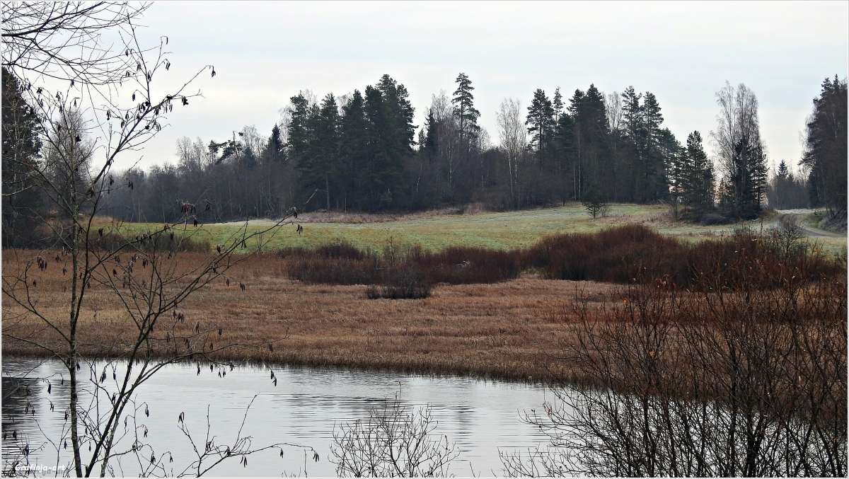 ������������� �������...������� ���������... ����� ������ ��� �� PhotoGeek.ru #������ ��� �������