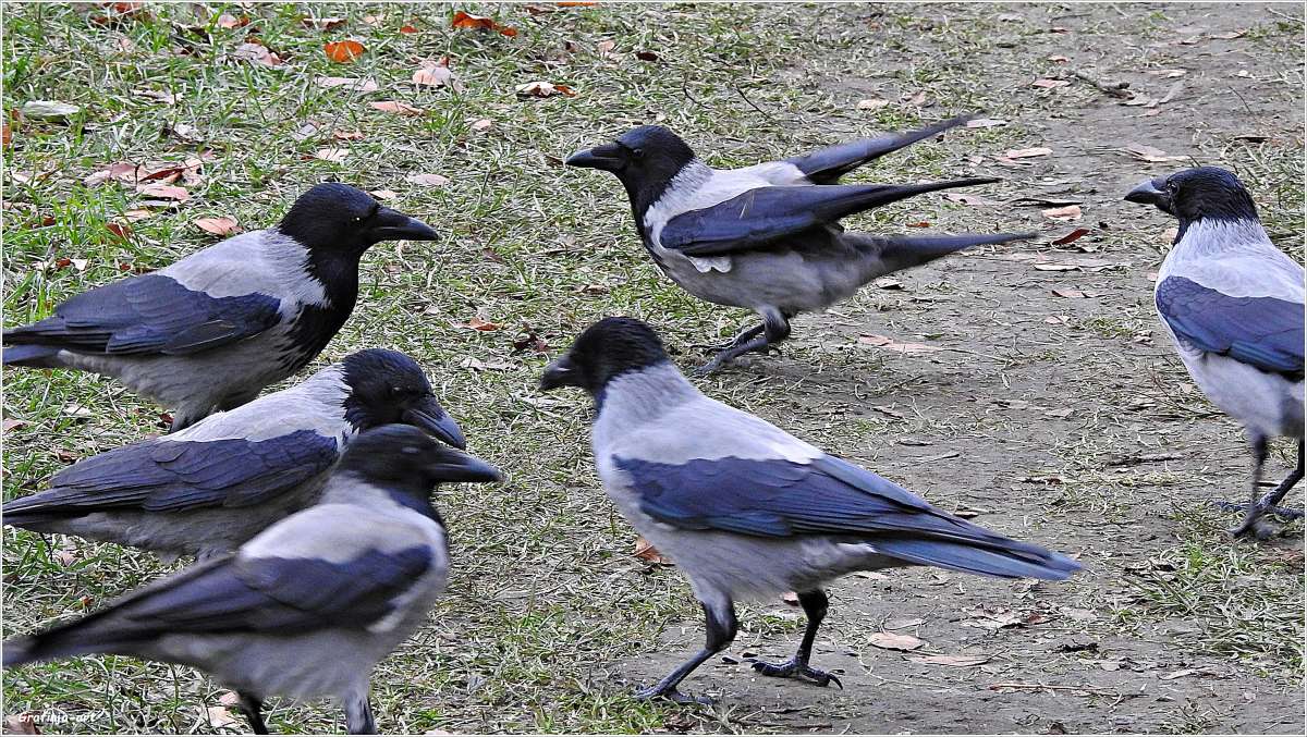 ������������� �������...������� ���������... ����� ������ ��� �� PhotoGeek.ru #�������� ��� #������ ��� �������