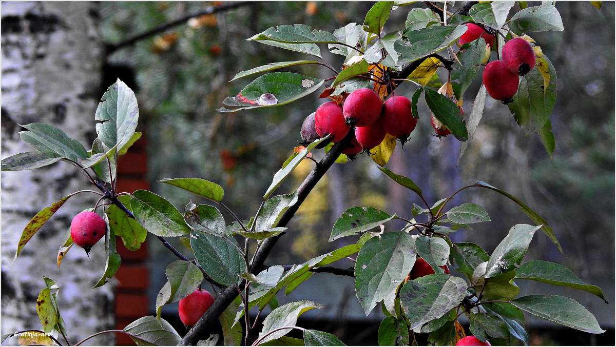 ������������� �������...����������� �����... ����� ������ ��� �� PhotoGeek.ru #������ ��� �������