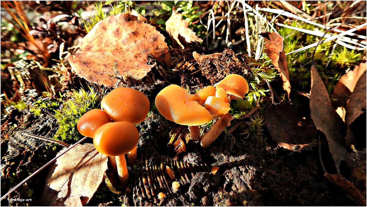 ������������� �������...����������� �����... ����� ������ ��� �� PhotoGeek.ru #������ ��� �������