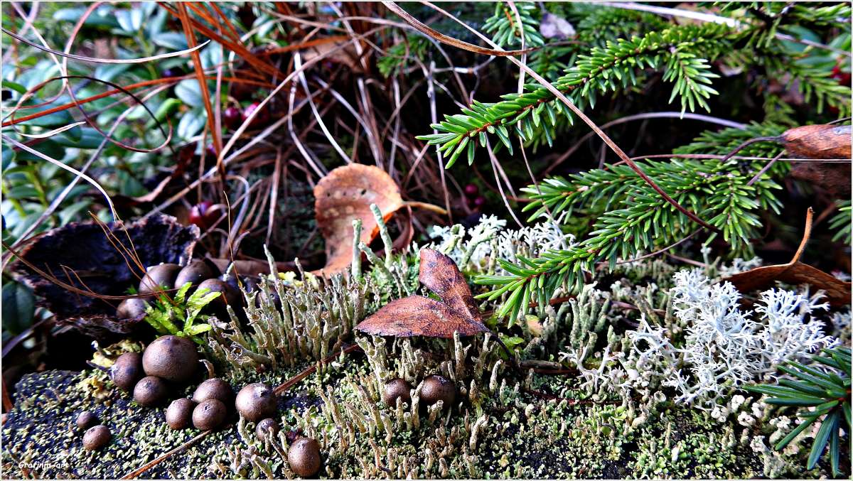 ������������� �������...����������� �����... ����� ������ ��� �� PhotoGeek.ru #������ ��� �������