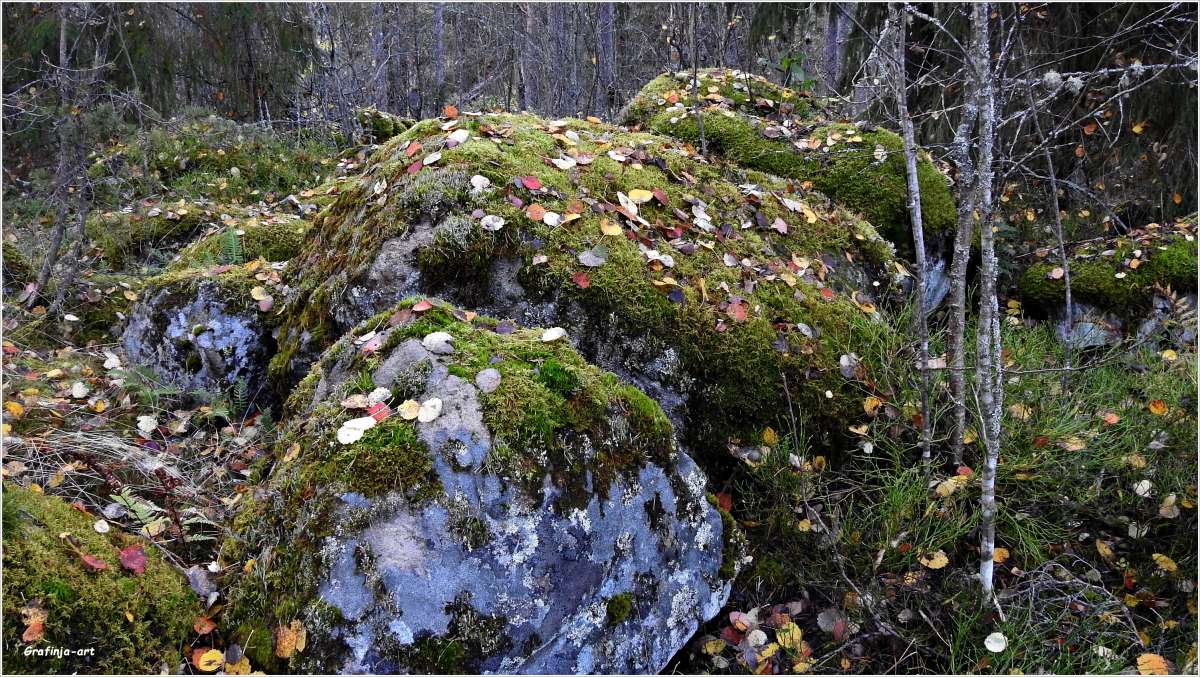 ������������� �������...����������� �����... ����� ������ ��� �� PhotoGeek.ru #������ ��� �������