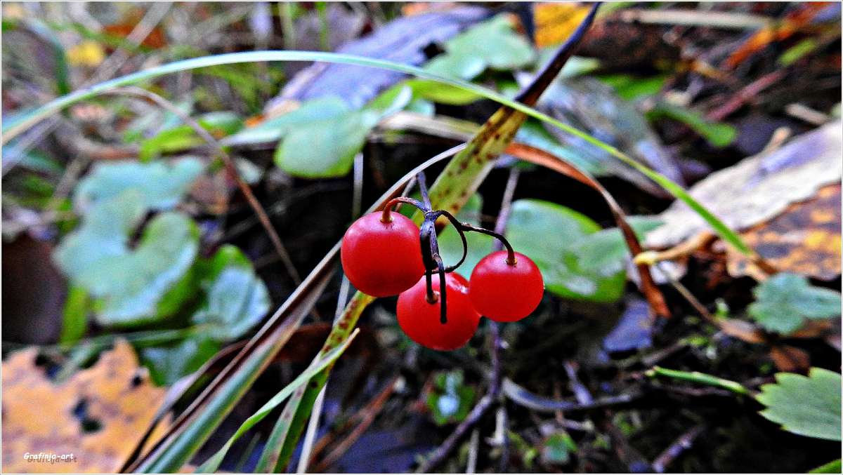 ������������� �������...����������� �����... ����� ������ ��� �� PhotoGeek.ru #������ ��� �������