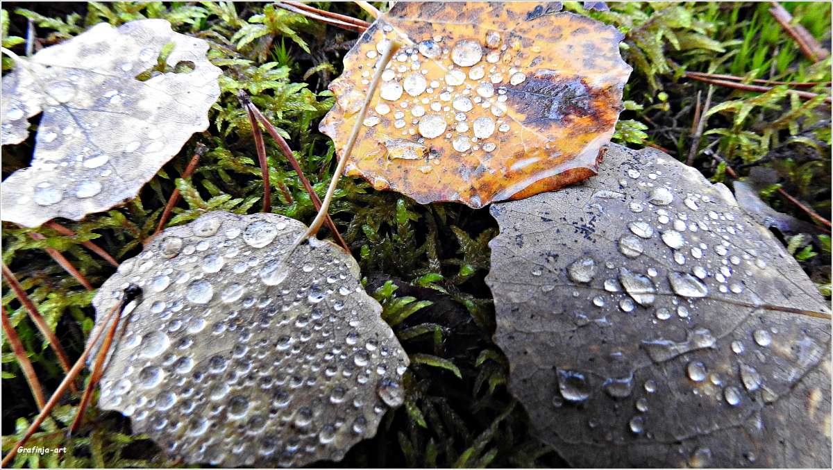 ������������� �������...����������� �����... ����� ������ ��� �� PhotoGeek.ru #������ ��� �������