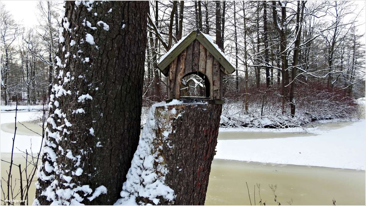 ������ ������... ����� ������ ��� �� PhotoGeek.ru #������ ��� �������