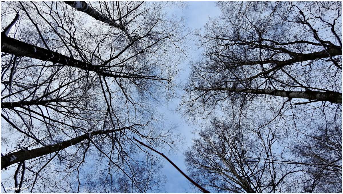 ������ ������...����� �������... ����� ������ ��� �� PhotoGeek.ru #������ ��� �������