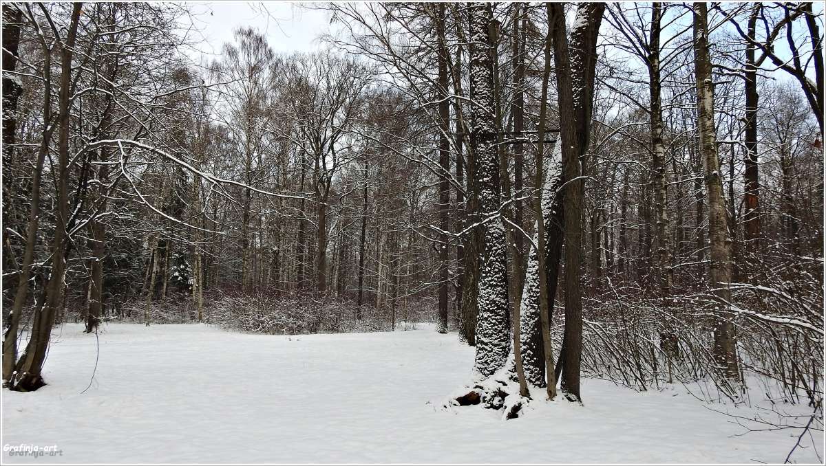 ������ ������... ����� ������ ��� �� PhotoGeek.ru #������ ��� �������