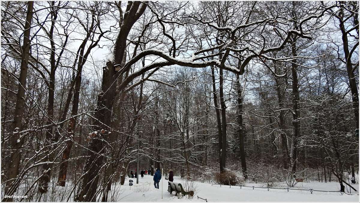 ������ ������... ����� ������ ��� �� PhotoGeek.ru #������ ��� �������