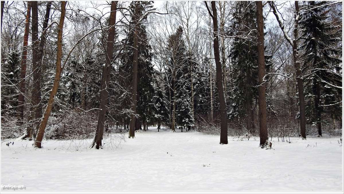 ������ ������... ����� ������ ��� �� PhotoGeek.ru #������ ��� �������