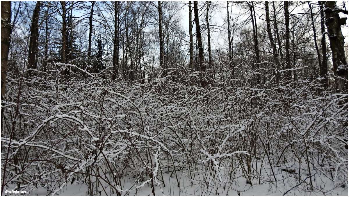 ������ ������... ����� ������ ��� �� PhotoGeek.ru #������ ��� �������