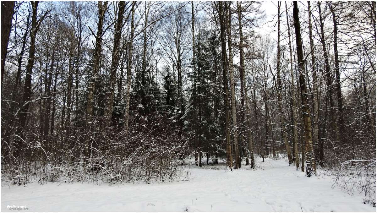 ������ ������... ����� ������ ��� �� PhotoGeek.ru #������ ��� �������