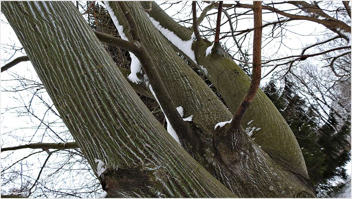 ������ ������... ����� ������ ��� �� PhotoGeek.ru #������ ��� �������