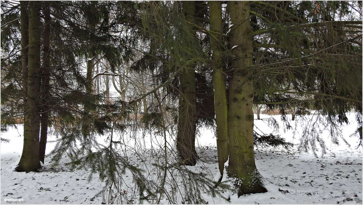 ������ ������... ����� ������ ��� �� PhotoGeek.ru #������ ��� �������