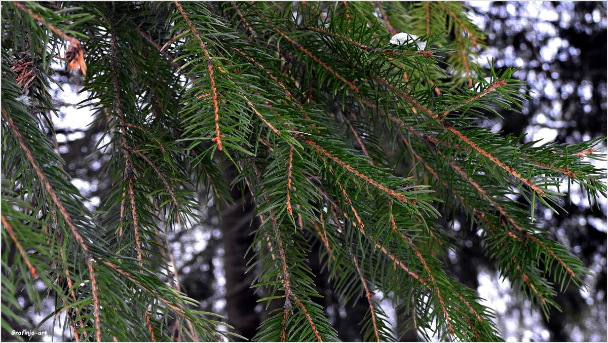 ������ ������... ����� ������ ��� �� PhotoGeek.ru #������ ��� �������