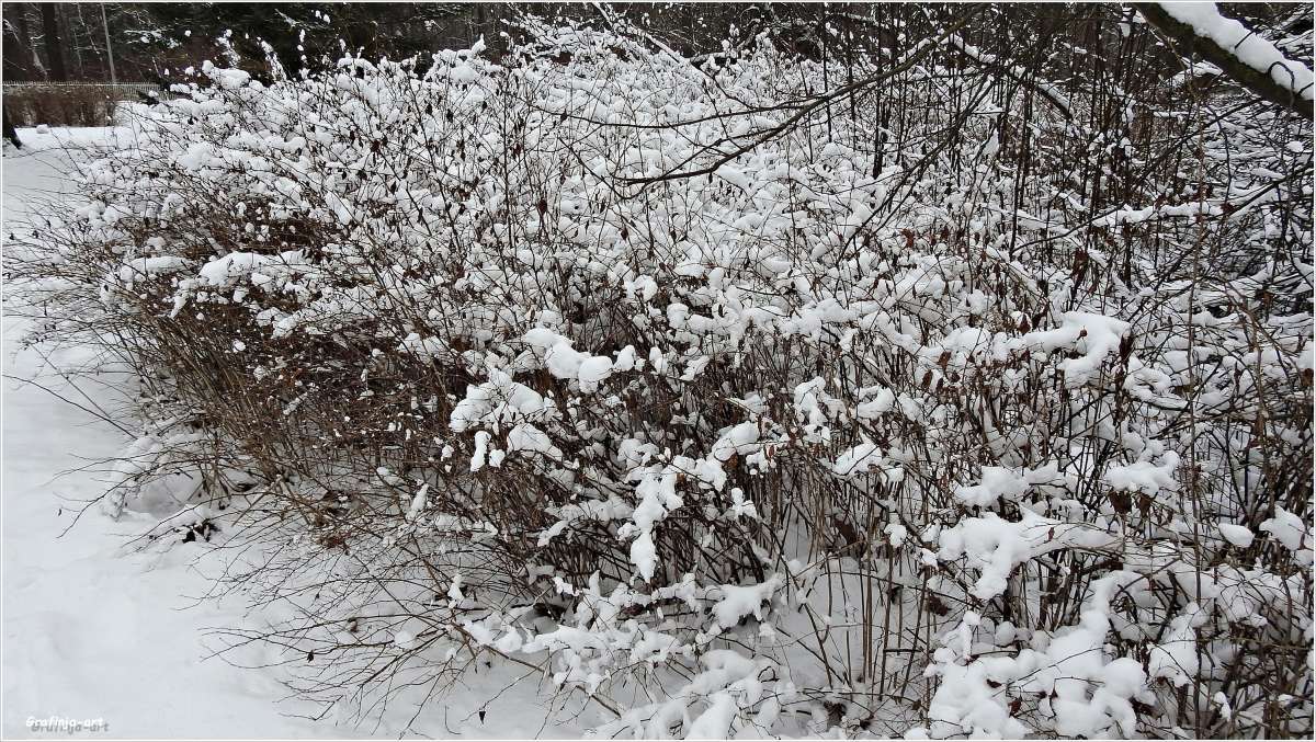 ������ ������... ����� ������ ��� �� PhotoGeek.ru #������ ��� �������