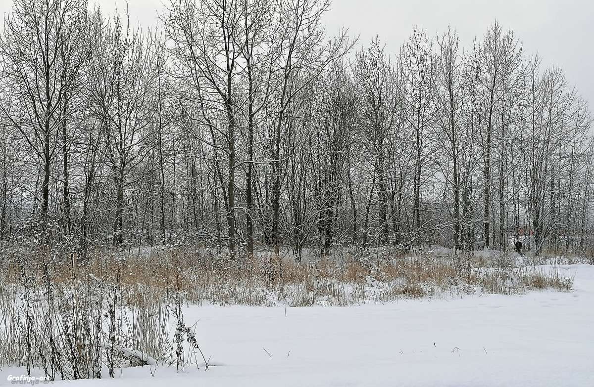 �����-��������� ����� ������ ��� �� PhotoGeek.ru #������ ��� �������