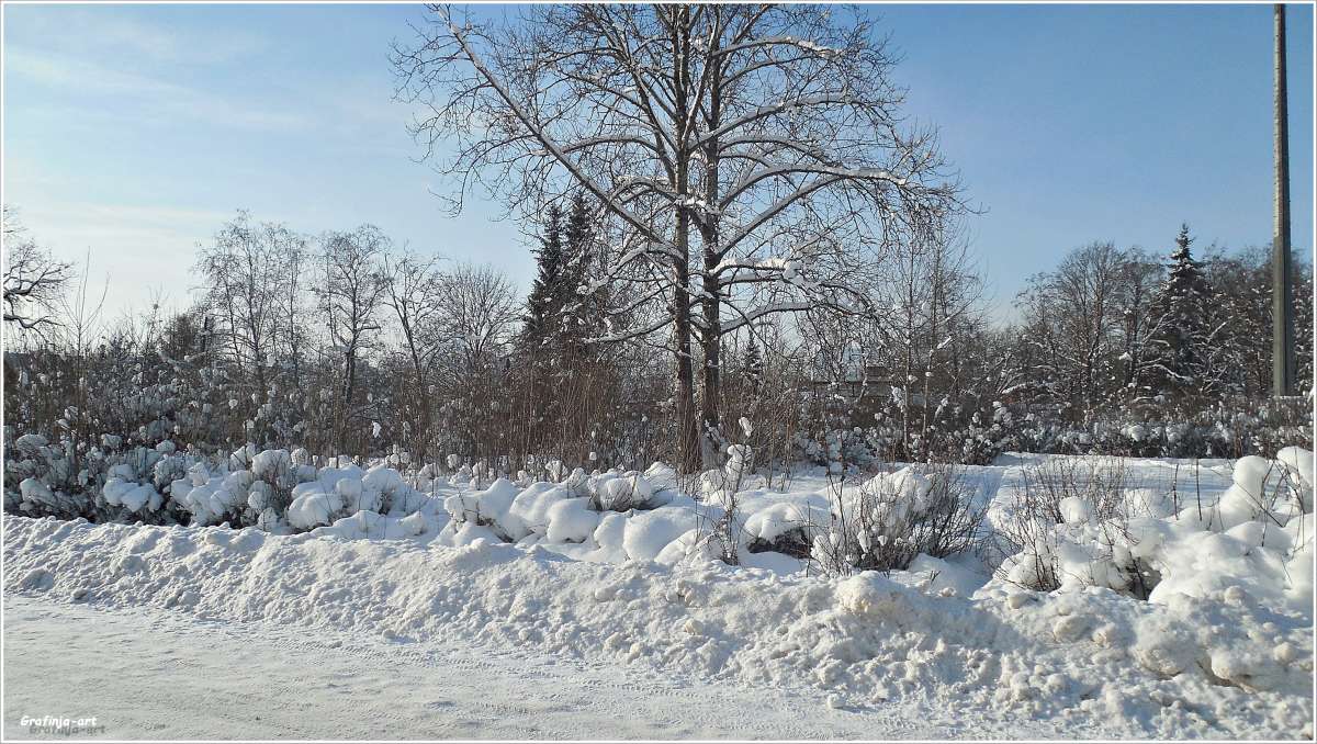 ������������� �������... ����� ������ ��� �� PhotoGeek.ru #������ ��� �������