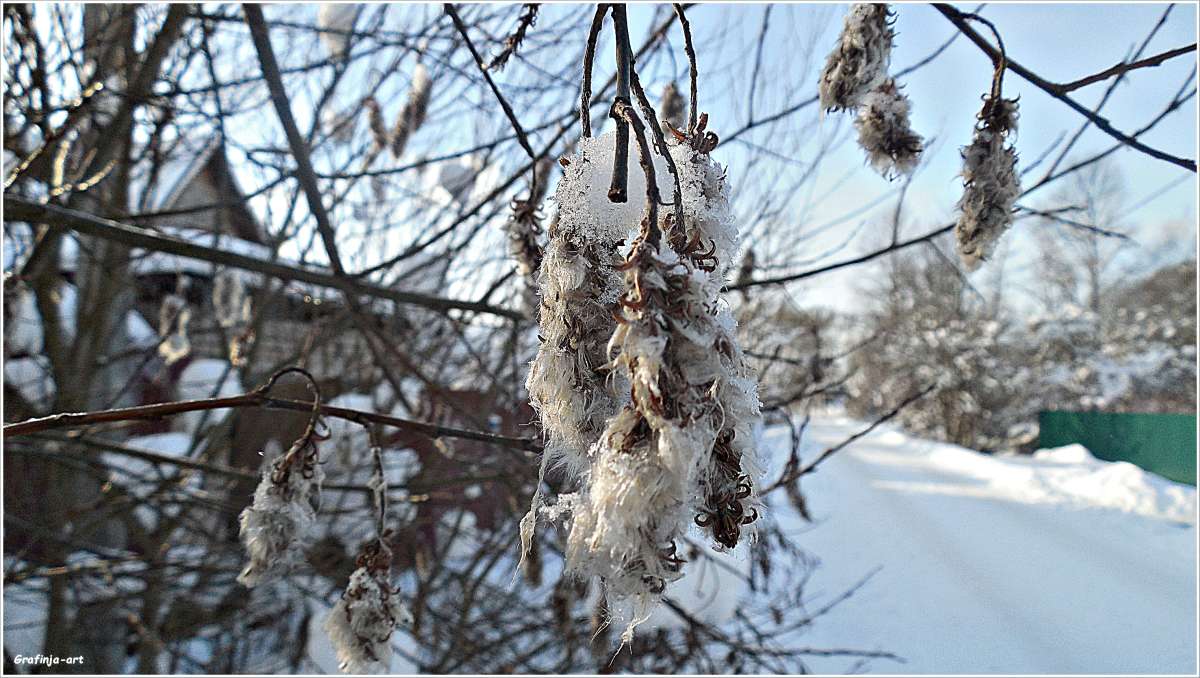 ������������� �������... ����� ������ ��� �� PhotoGeek.ru #������ ��� �������