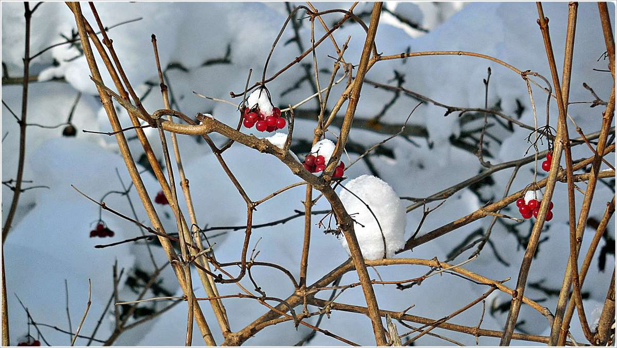 ������������� �������... ����� ������ ��� �� PhotoGeek.ru #������ ��� �������