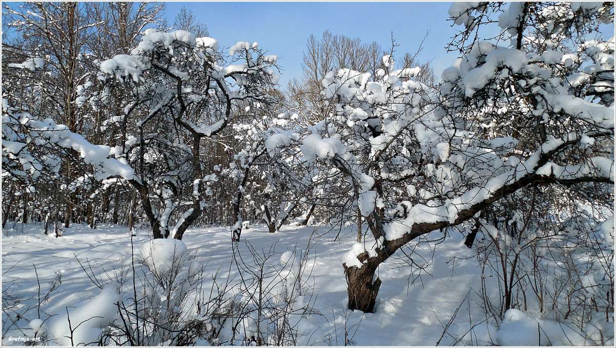 ������������� �������... ����� ������ ��� �� PhotoGeek.ru #������ ��� �������