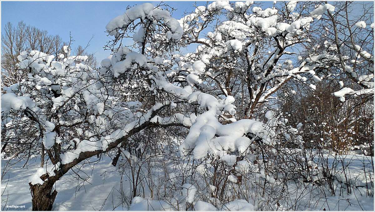 ������������� �������... ����� ������ ��� �� PhotoGeek.ru #������ ��� �������