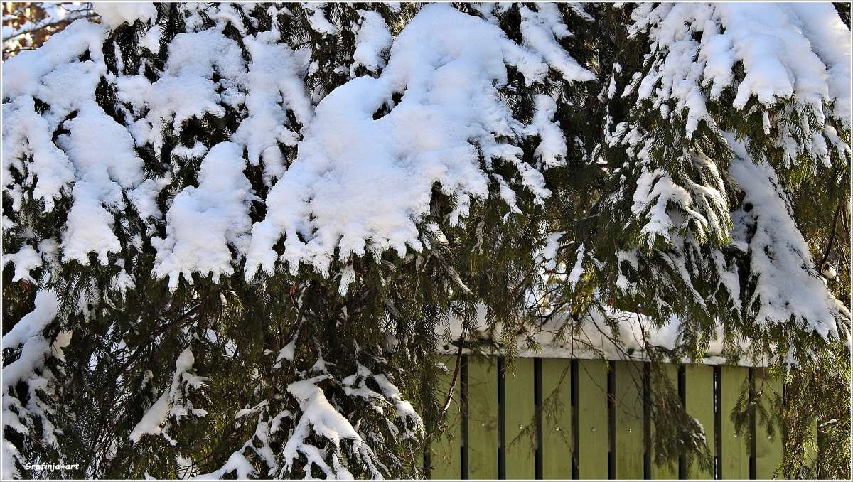 ��������... ����� ������ ��� �� PhotoGeek.ru #������ ��� �������