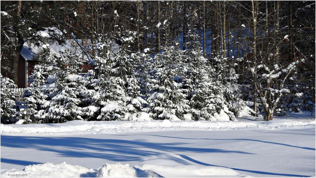 ��������... ����� ������ ��� �� PhotoGeek.ru #������ ��� �������