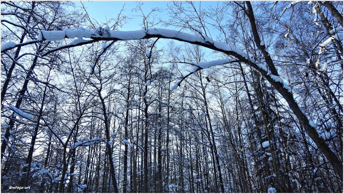 ��������... ����� ������ ��� �� PhotoGeek.ru #������ ��� �������