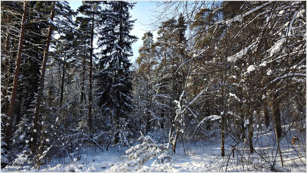 ��������... ����� ������ ��� �� PhotoGeek.ru #������ ��� �������