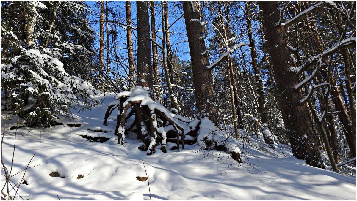 ��������... ����� ������ ��� �� PhotoGeek.ru #������ ��� �������