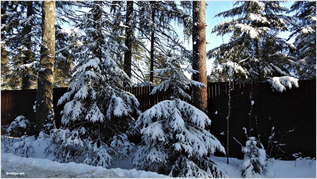 ��������... ����� ������ ��� �� PhotoGeek.ru #������ ��� �������