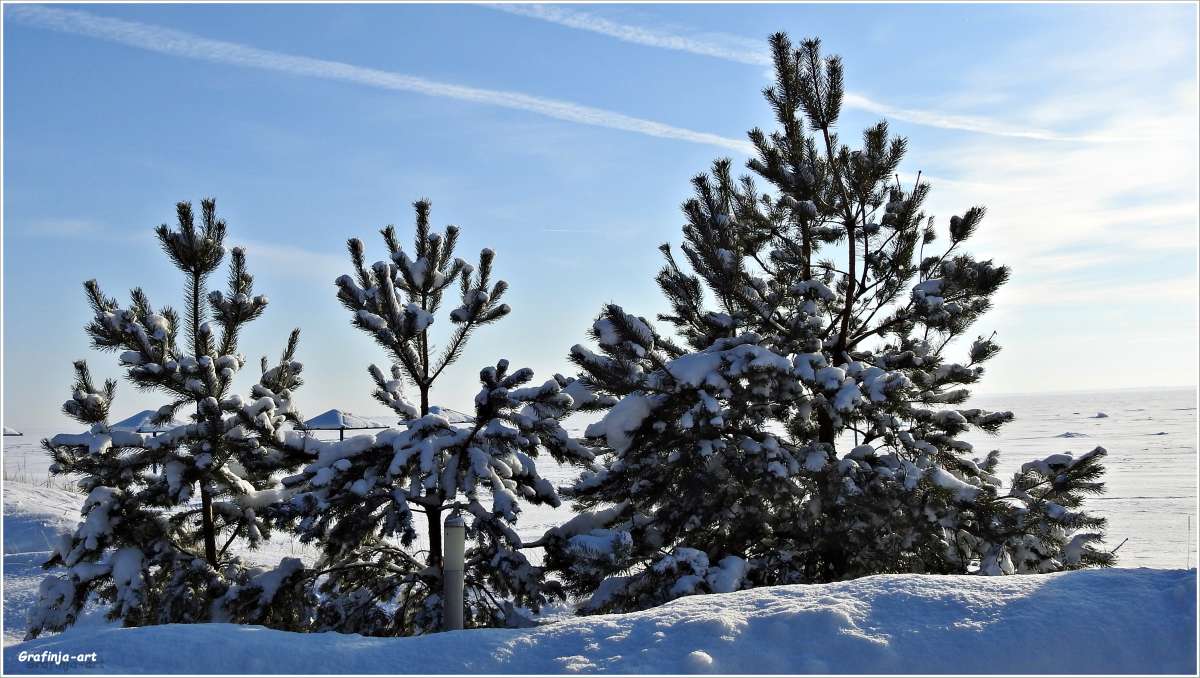 ��������... ����� ������ ��� �� PhotoGeek.ru #������ ��� �������